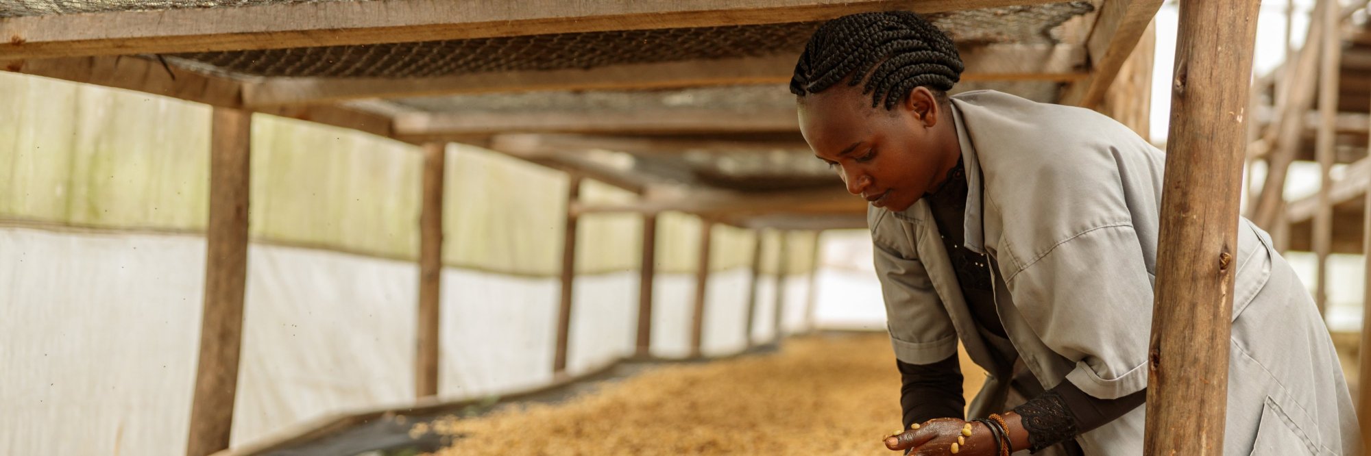Improving working and health conditions in agriculture​