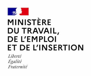 Ministère du travail de l'emploi et de l'insertion