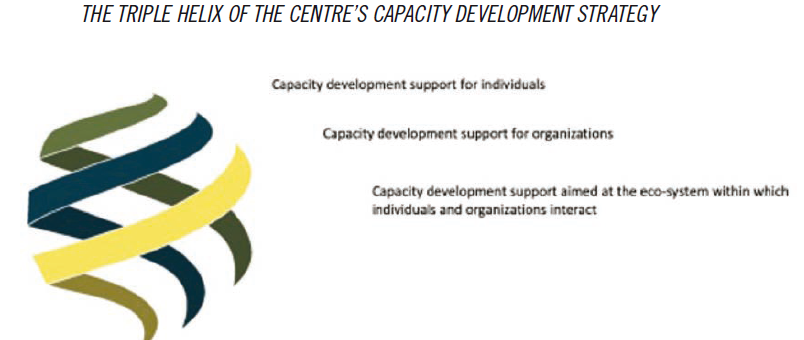 Triple-helix graphic showing capacity development support for individuals, organizations, and ecosystems.