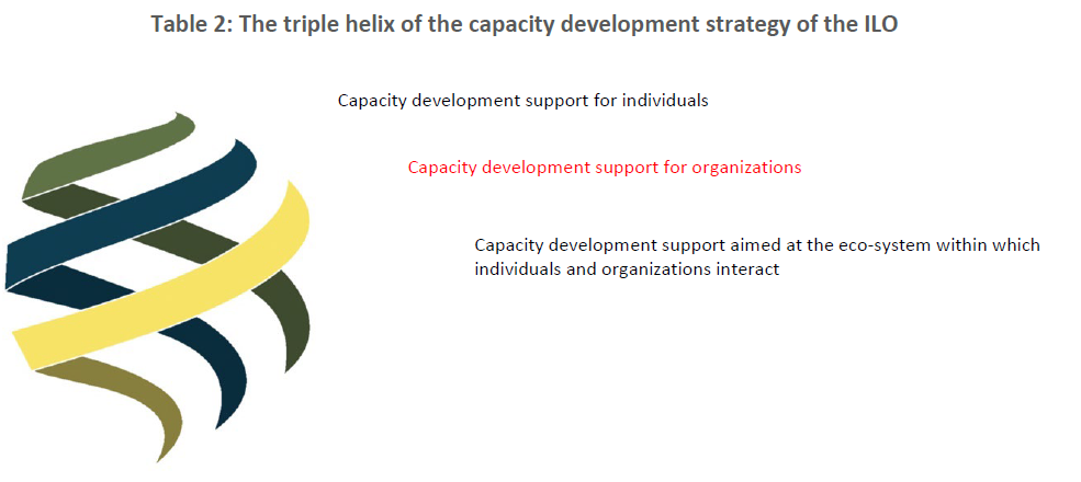 The triple helix