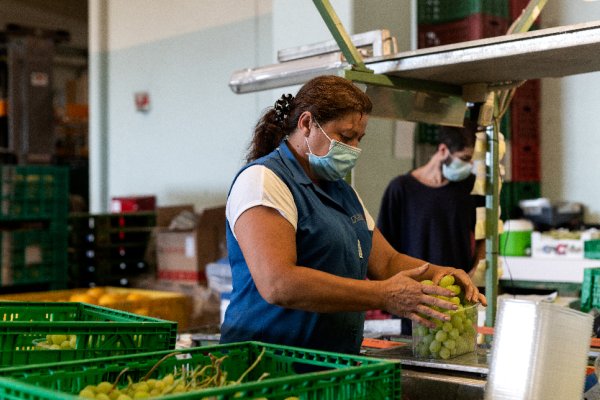 Woman working in agriculture