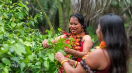 Massive open online course ON Social, Environmental, and Climate Standards - sustain 2 