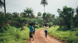 Three people walk along a red road lined with lush tropical vegetation and palm trees, carrying bundles of firewood on their heads.