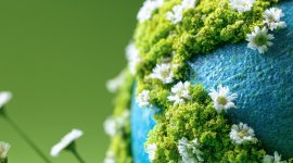 Impulsando el crecimiento de negocios verdes
