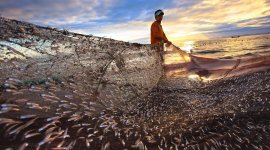 Executive E-Learning on Pension Policy and Management