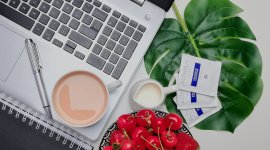 SOLVE: Integrating health promotion into workplace OSH policy