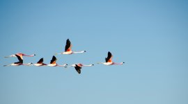 Leading for Equality in the Workplace: a course for change-makers