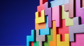 Procurement management in the public sector (NEW)