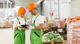 Sectoral approaches to skills development