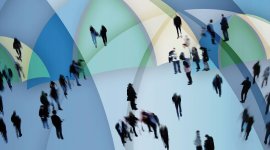 Impact Insurance Academy 