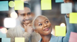 Shaping and managing effective employment services