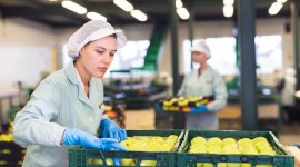 International labour standards and responsible business conduct