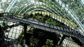 Master in Social Innovation for Sustainable Development (ed. 2020-2021)