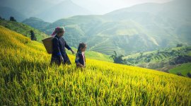 Insurance for Development