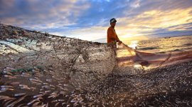 Executive E-Learning on Pension Policy and Management