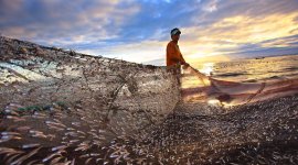 Formation en ligne des cadres supérieurs sur la politique et la gestion des pensions