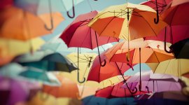 E-Learning on Investment of Social Security Funds