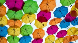 E-Learning on Service Quality