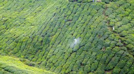 Cadenas cortas de suministro para el desarrollo rural