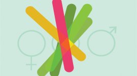 ILO Participatory Gender-audit Facilitator Certification