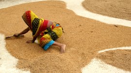 Masterclass Series on Forced Labour for Law Enforcement Actors