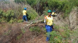 Designing Public Employment Programmes for a sustainable recovery