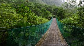 Building Back Better: Sustainable, responsible and inclusive tourism (NEW)