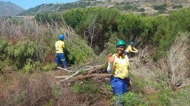 Designing Public Employment Programmes for a sustainable recovery