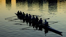 Élaboration de politiques de développement des compétences en lien avec le marché du travail (NEW)