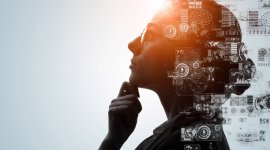 Labour Market Information Systems