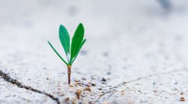 Fostering Green Business Growth