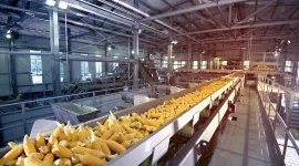 Executive course on market systems development for decent work