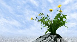 Curso certificado en Reducción del Riesgo de Desastres (RRD) y desarrollo local sostenible