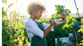 Financing development: navigating the landscape of financial instruments and mechanisms