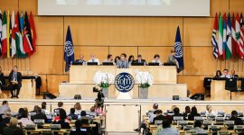 Understanding the procedures and Constitutional obligations relating to international labour standards