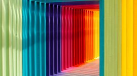Embracing Change in the New Era: Empowering UN Gender Focal Points