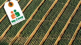 My.COOP - Managing your agricultural cooperative