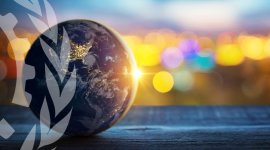 Fundamental Principles and Rights at Work and the UN action at the national level: construction of Common Country Analysis and the linkages between labour and human rights (NEW)