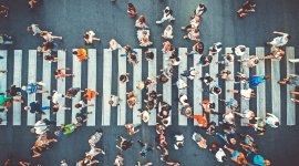 Employment in ageing societies