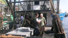 Inspection of labour conditions on board fishing vessels