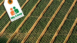 My.COOP - Managing your agricultural cooperative