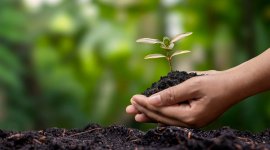 Apoyar Emprendedores Verdes - Negocios Verdes