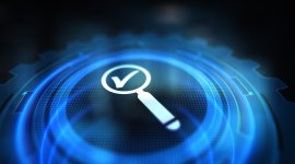 Good Governance in Employers and Business Membership Organizations