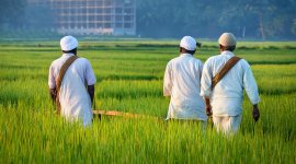 Knowledge sharing ILS and Labour exploitation in agriculture and constructions sector