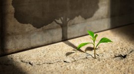 Recovery from crises through employment policies