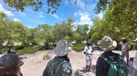 Green works and nature-based solutions to address climate and nature crises