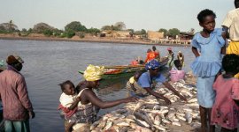 Sustainable and Inclusive Aquaculture Systems: Exploring Youth Opportunities in the Blue Economy