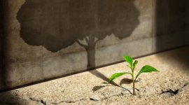 Recovery from crises through employment policies