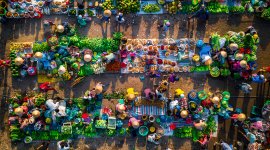 Innovative approaches to transition from informal to formal economy