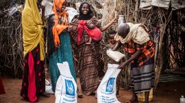 Market-based livelihood interventions for refugees and host communities - certification programme - analyst's learning path